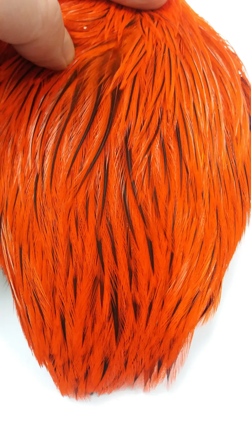 The Lakeland Brahma Rooster Cape in Silver Badger Dyed Orange  from Whiting Farms-6